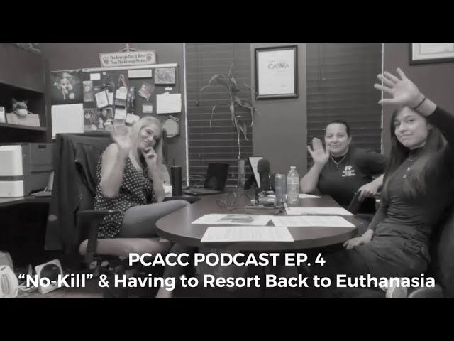 pcacc podcast ep no kill having pcacc podcast ep no kill having